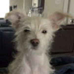 Meet your Posher, Krystal